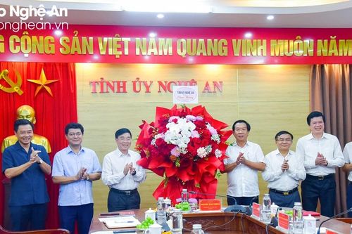 Thường trực Tỉnh ủy chúc mừng ngày truyền thống các Ban xây dựng Đảng Tỉnh ủy Nghệ An