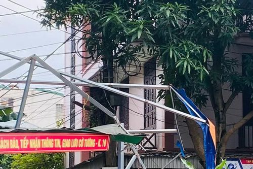 Ngang nhiên chặt cây xanh, phá hoại điểm vui chơi công cộng trên địa bàn TP Vinh