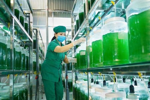 Nghệ An phấn đấu trở thành trung tâm khởi nghiệp sáng tạo vùng Bắc trung Bộ