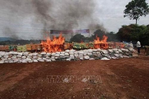 Lào tiêu hủy hàng chục tấn ma túy