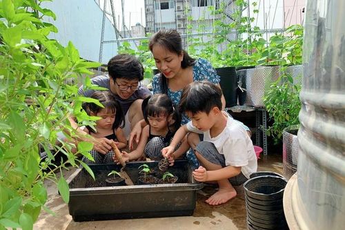 Vợ chồng 9x chi 10 triệu đồng làm 'vườn treo', cả năm không cần đi chợ mua rau