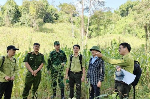 Kết quả kiểm tra thông tin 3,2ha rừng đặc dụng bị chặt phá