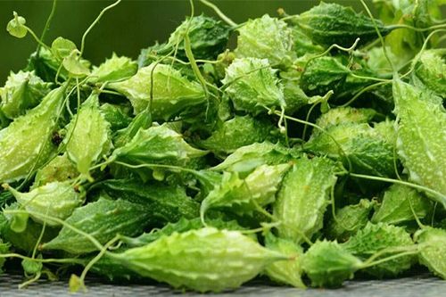 Loại quả dại xưa chín rụng vứt đi, nay thành đặc sản nổi tiếng giá 250.000 đồng/kg, dân thành phố 'săn lùng'