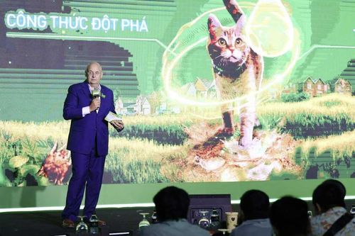 Giải pháp mới giúp điều trị ký sinh trùng cho mèo