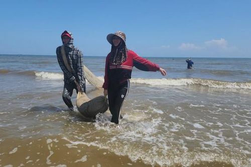 Săn 'lộc biển', ngư dân Hà Tĩnh bỏ túi tiền triệu mỗi ngày