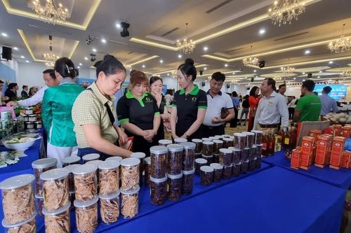 Diễn đàn Doanh nghiệp VACOD - Bến Tre: Đồng hành nắm bắt xu thế mới, thúc đẩy 'kinh tế xanh'