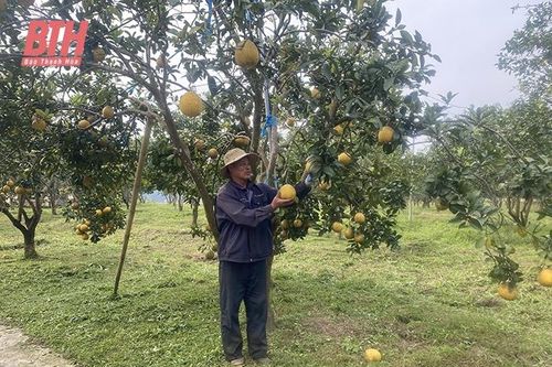 Phát triển nông nghiệp hữu cơ: Thuận lợi và thách thức