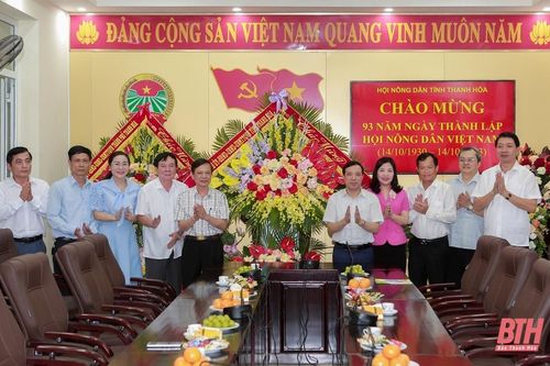 Phó Bí thư Thường trực Tỉnh ủy Lại Thế Nguyên chúc mừng ngày truyền thống Hội Nông dân
