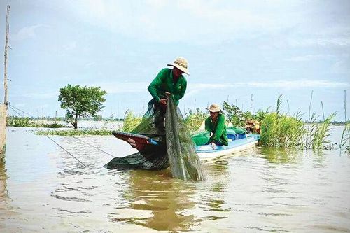 Đợi… mùa nước nổi!