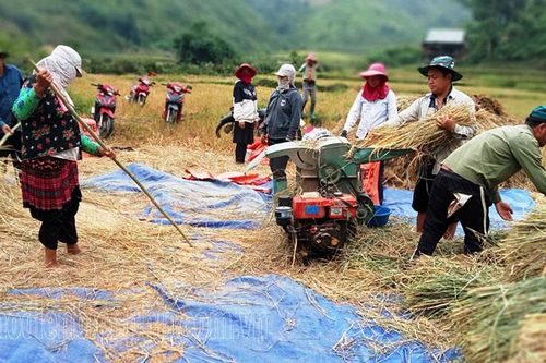 Người Mông Mường Ảng tin theo Đảng (1)