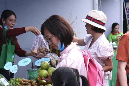 Gia Lai: Giới thiệu mô hình phát triển sinh kế hòa nhập cộng đồng cho phụ nữ là nạn nhân mua bán người