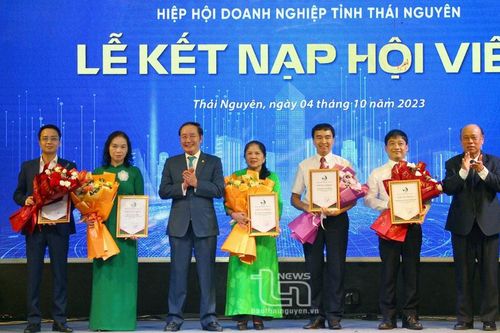 Cộng đồng doanh nghiệp, doanh nhân: Góp phần nâng cao vị thế, uy tín của tỉnh