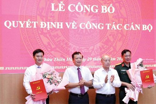 Tiếp tục củng cố, kiện toàn tổ chức bộ máy, đội ngũ cán bộ, công chức