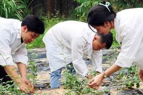 Xây dựng chương trình đào tạo thạc sĩ sinh thái nông nghiệp tại Đại học Huế