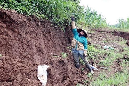 Đắk Nông: Xuất hiện nhiều điểm sụt lún sâu trên 2m tại xã Nhân Cơ