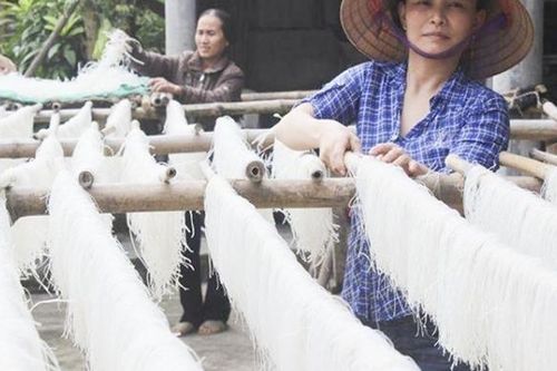 Hà Nội: Tín cấp trên 8.152 tỷ đồng vốn hỗ trợ phụ nữ phát triển kinh tế