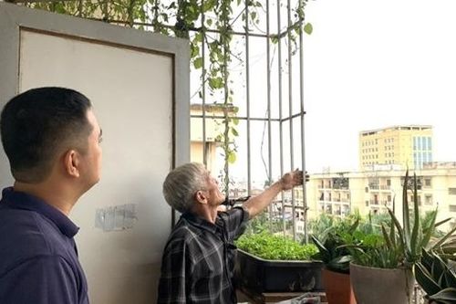 Gần 257 nghìn nhà dân ở Hải Phòng đã tháo dỡ 'chuồng cọp'