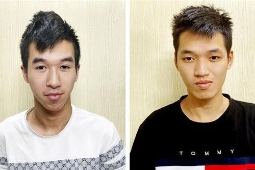 Bắt nhóm đối tượng gây ra hàng loạt vụ trộm cắp tài sản liên tỉnh