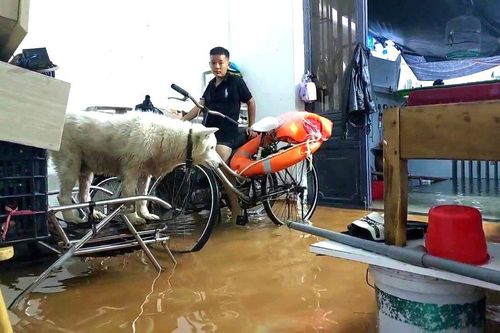 Nước tràn vào nhà, dân Đà Nẵng tất tả dọn đồ chạy lụt