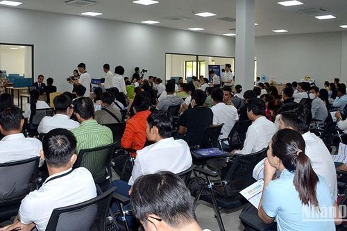Bình Thuận: Ngày hội việc làm thu hút người lao động và sinh viên tham gia ứng tuyển