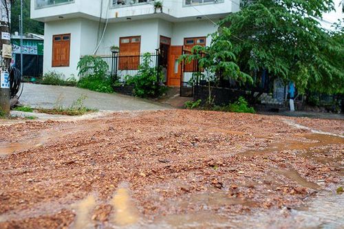 Mưa lớn tại Đà Nẵng khiến đất đá đổ xuống đường dân sinh