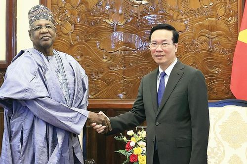 Việt Nam và Nigeria thúc đẩy hợp tác