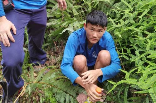 Hong Kong: Thiếu niên lạc trong rừng một tuần vì áp lực thi cử