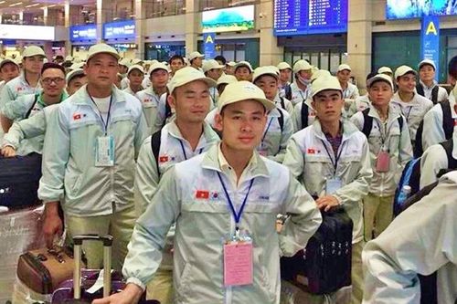 Xuất ngoại bằng con đường học nghề
