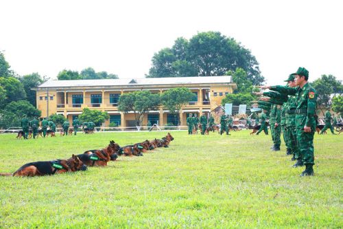 Đảm bảo công tác chuẩn bị, sẵn sàng cho Hội thao huấn luyện chó nghiệp vụ năm 2023