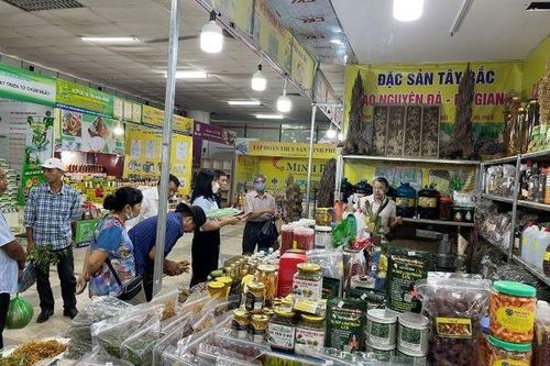 Xây dựng thương hiệu cho sản phẩm nông nghiệp miền núi
