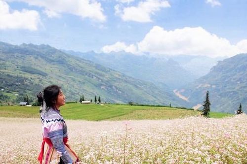 Du khách mê mẩn 'thảo nguyên Thụy Sĩ giữa lòng Hà Giang'