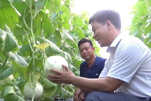 Bước ngoặt của anh kỹ sư bỏ việc lương 20 triệu, về quê trồng trọt kiếm… bạc tỷ