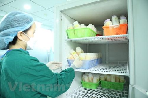 Cho trẻ bú mẹ ngay sau sinh để hạn chế vàng da và nhiều bệnh khác