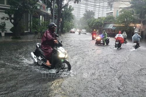 Đà Nẵng tiếp tục mưa lớn, di dời hàng nghìn người dân khỏi vùng ngập lụt