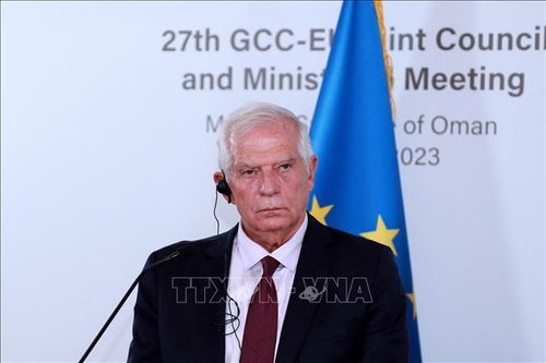 Xung đột Hamas - Israel: EU cảnh báo về khủng hoảng nhân đạo