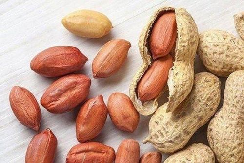 Nhóm người 'đại kỵ' với lạc, nên tránh xa kẻo rước họa