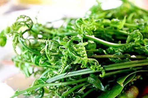 Được ví 'rau trường sinh' là hàng hot của thương lái Trung Quốc, ít người biết đến để ăn, có giá 200.000 đồng/kg