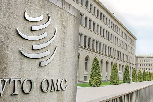 Vì sao các quy tắc của WTO dễ bị biến dạng?