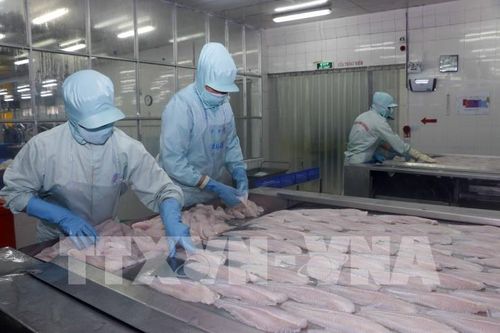Ngành nào lợi khi nâng cấp quan hệ Việt Nam - Hoa Kỳ?