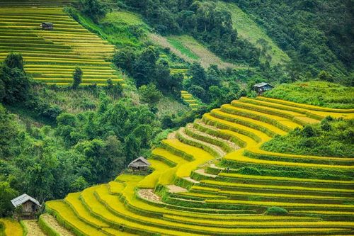 Vẻ đẹp miền núi Tây Bắc được tái hiện trong sự kiện âm nhạc tầm quốc tế