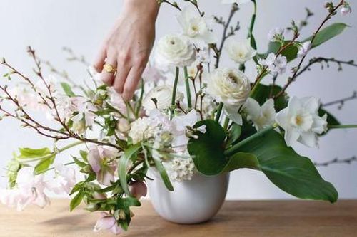 Những cách cắm hoa vừa dễ vừa đẹp để trang trí nhà