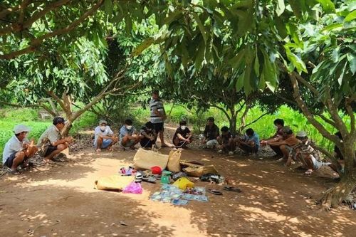 Điểm tin Công Thương-Pháp luật 13/10: Phạt hơn 1 tỷ đồng xả thải trái phép; bắt đá gà ở Vĩnh Long