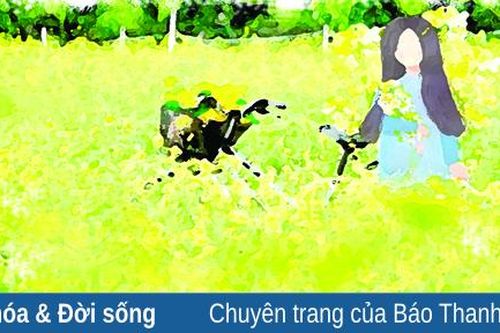 Phù sa vàng