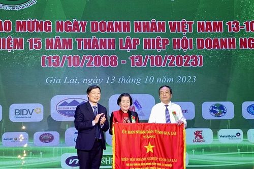 Hiệp hội Doanh nghiệp tỉnh được tặng Cờ 'Vì sự nghiệp xây dựng và bảo vệ tỉnh Gia Lai'