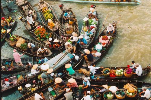 Cần Thơ: Chú trọng phát triển nông nghiệp sạch gắn với du lịch sinh thái bền vững