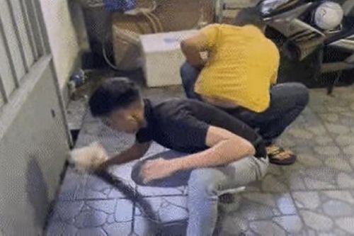Thuê người tạt chất bẩn với máu lợn để gây áp lực trả nợ