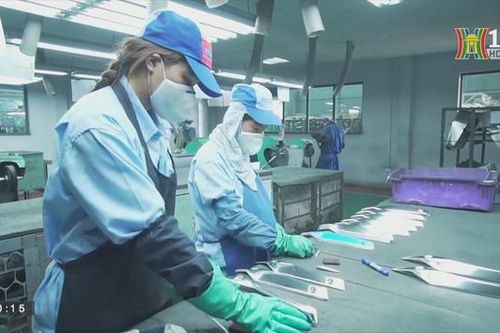 Đưa ngành công nghiệp hỗ trợ Việt Nam nâng tầm quốc tế | Thủ đô và thế giới | 14/10/2023