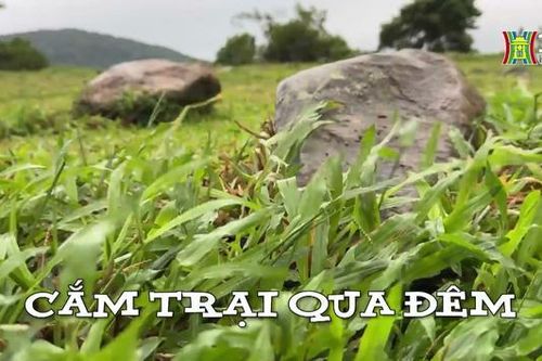 Cắm trại qua đêm| Nhịp sống Hà nội| 14/10/2023