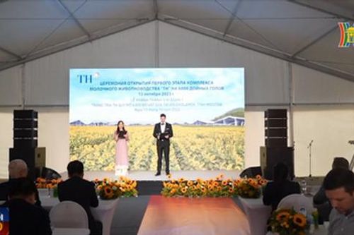 Tập đoàn TH khánh thành trang trại bò sữa tại Nga