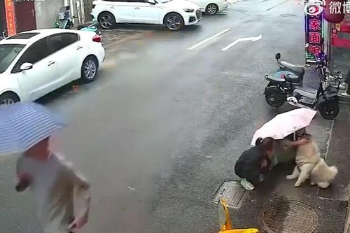 Người phụ nữ bị biến dạng mặt sau khi vuốt ve con chó nằm bên đường
